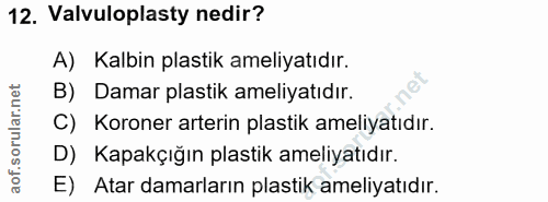 12. soru: Valvuloplasty nedir? A) Kalbin plastik ameliyatıdır. B) Damar plastik ameliyatıdır. C) Koroner arterin plastik ameliy…