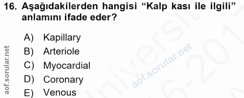 16. soru: Aşağıdakilerden hangisi "Kalp kası ile ilgili" anlamını ifade eder? A) Kapillary B) Arteriole C) Myocardial D) Corona…