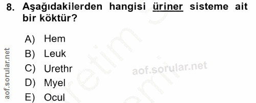 8. soru: Aşağıdakilerden hangisi üriner sisteme ait bir köktür? A) Hem B) Leuk C) Urethr D) Myel E) Ocul
