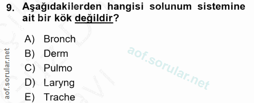 9. soru: Aşağıdakilerden hangisi solunum sistemine ait bir kök değildir? A) Bronch B) Derm C) Pulmo D) Laryng E) Trache