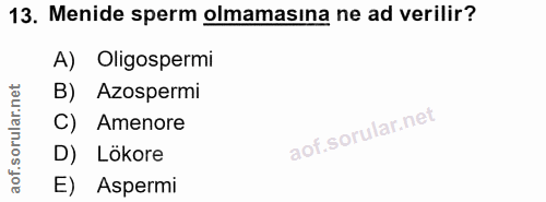 13. soru: Menide sperm olmamasına ne ad verilir? A) Oligospermi B) Azospermi C) Amenore D) Lökore E) Aspermi