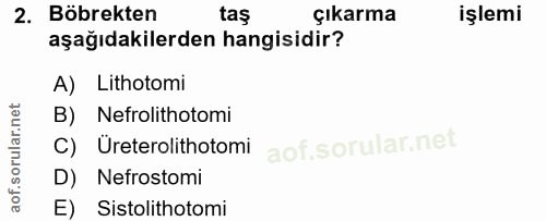 2. soru: Böbrekten taş çıkarma işlemi aşağıdakilerden hangisidir? A) Lithotomi B) Nefrolithotomi Üreterolithotomi D) Nefrostom…