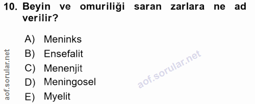 10. soru: Beyin ve omuriliği saran zarlara ne ad verilir? A) Meninks orular.net B) Ensefalit C) Menenjit aof.s D) Meningosel E)…