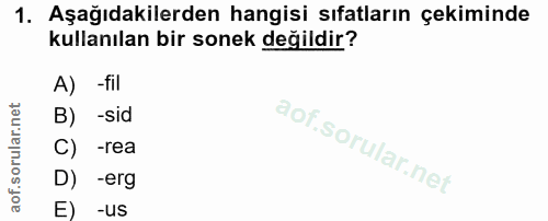 1. soru: Aşağıdakilerden hangisi sıfatların çekiminde kullanılan bir sonek değildir? A) -fil B) -sid C) -rea D) -erg -US