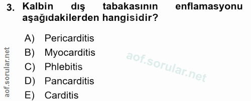 3. soru: Kalbin dış tabakasının enflamasyonu aşağıdakilerden hangisidir? A) Pericarditis B) Myocarditis C) Phlebitis D) Pancar…