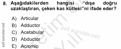 8. soru: Aşağıdakilerden hangisı "dışa doğru uzaklaştıran, çeken kas kütlesi"ni ifade eder? A) Articular B) Adductor C) Acetab…