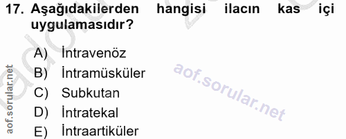 17. soru: Aşağıdakilerden hangisi ilacın kas içi uygulamasıdır? A) Intravenöz B) İntramüsküler C) Subkutan D) Intratekal Intraa…