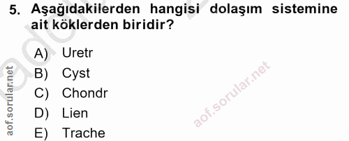 5. soru: Aşağıdakilerden hangisi dolaşım sistemine ait köklerden biridir? A) Uretr B) Cyst C) Chondr D) Lien E) Trache