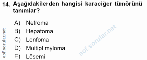 14. soru: Aşağıdakilerden hangisi karaciğer tümörünü tanımlar? A) Nefroma B) Hepatoma of.sorular.n C) Lenfoma D) Multipl myloma…