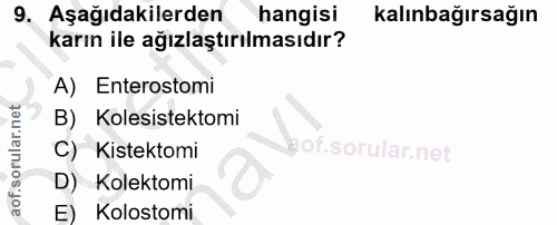 9. soru: Aşağıdakilerden hangisi kalınbağırsağın karın ile ağızlaştırılmasıdır? A) Enterostomi B) Kolesistektomi C) Kistektomi…