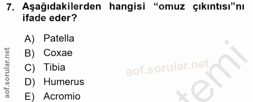 7. soru: Aşağıdakilerden hangisi "omuz çıkıntısı"nı ifade eder? A) Patella B) Coxae C) Tibia D) Humerus E) Acromio