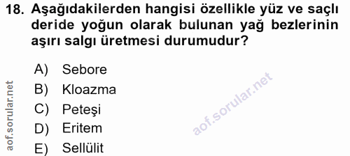18. soru: Aşağıdakilerden hangisi özellikle yüz ve saçlı deride yoğun olarak bulunan yağ bezlerinin aşırı salgı üretmesi durumu…