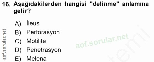 16. soru: Aşağıdakilerden hangisi "delinme" anlamına gelir? A) ileus B) Perforasyon C) Motilite D) Penetrasyon E) Melena