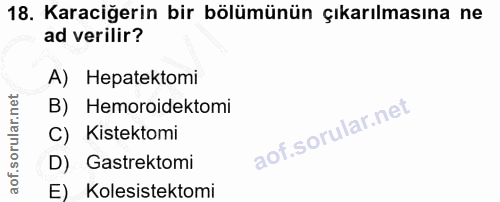18. soru: Karaciğerin bir bölümünün çıkarılmasına ne ad verilir? A) Hepatektomi B) Hemoroidektomi C) Kistektomi D) Gastrektomi…