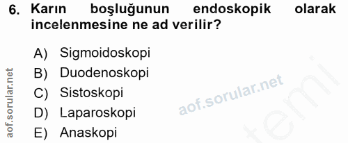 6. soru: Karın boşluğunun endoskopik olarak incelenmesine ne ad verilir? A) Sigmoidoskopi B) Duodenoskopi C) Sistoskopi D) Lap…