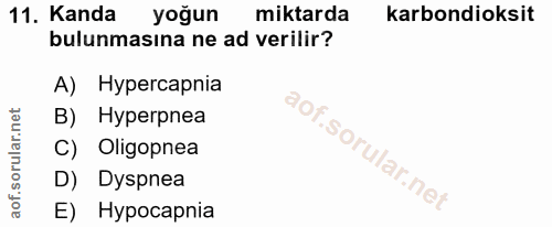 11. soru: Kanda yoğun miktarda karbondioksit bulunmasına ne ad verilir? A) Hypercapnia B) Hyperpnea C) Oligopnea D) Dyspnea E)…