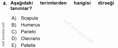 4. soru: Aşağıdaki terimlerden hangisi dirseği tanimlar? A) Scapula B) Humerus C) Parieto D) Olecrano E) Patella