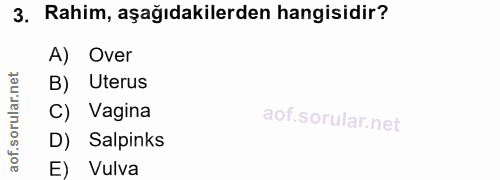 3. soru: Rahim, aşağıdakilerden hangisidir? A) Over rular.net B) Uterus C) Vagina aof.s D) Salpinks E) Vulva