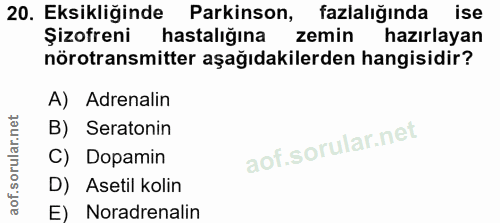 20. soru: Eksikliğinde Parkinson, fazlalığında ise Şizofreni hastalığına zemin hazırlayan nörotransmitter aşağıdakilerden hangi…