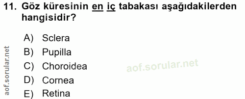 11. soru: Göz küresinin en iç tabakası aşağıdakilerden hangisidir? A) Sclera B) Pupilla C) Choroidea D) Cornea E) Retina