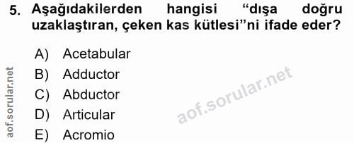 5. soru: Aşağıdakilerden hangisi "dışa doğru uzaklaştıran, çeken kas kütlesi"ni ifade eder? A) Acetabular B) Adductor C) Abduc…