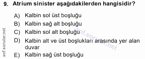 9. soru: Atrium sinister aşağıdakilerden hangisidir? A) Kalbin sol üst boşluğu B) Kalbin sağ alt boşluğu C) Kalbin sol alt boş…