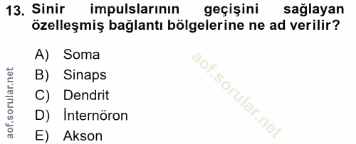 13. soru: Sinir impulslarının geçişini sağlayan özelleşmiş bağlantı bölgelerine ne ad verilir? A) Soma B) Sinaps C) Dendrit D)…