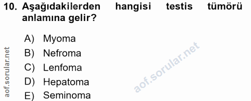 10. soru: Aşağıdakilerden hangisi testis tümörü anlamına gelir? A) Myoma B) Nefroma C) Lenfoma D) Hepatoma E) Seminoma