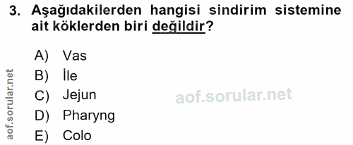 3. soru: Aşağıdakilerden hangisi sindirim sistemine ait köklerden biri değildir? A) Vas B) lle C) Jejun D) Pharyng E) Colo
