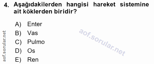 4. soru: Aşağıdakilerden hangisi hareket sistemine ait köklerden biridir? A) Enter corillar nel B) Vas C) Pulmo D) Os aof. E) Ren