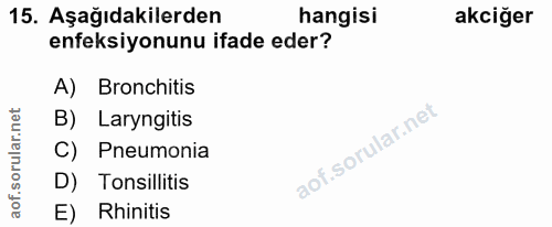 15. soru: Aşağıdakilerden hangisi akciğer enfeksiyonunu ifade eder? A) Bronchitis B) Laryngitis C) Pneumonia D) Tonsillitis E)…
