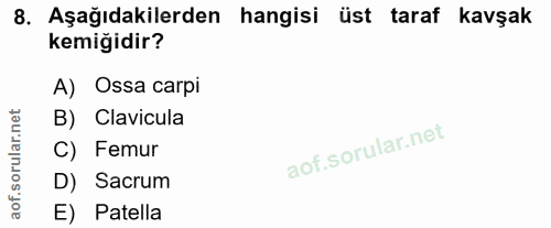8. soru: Aşağıdakilerden hangisi üst taraf kavşak kemiğidir? A) Ossa carpi corillar nel B) Clavicula C) Femur D) Sacrum aof. E…