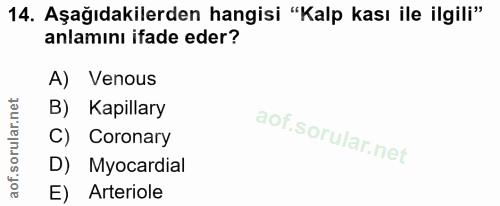 14. soru: Aşağıdakilerden hangisi "Kalp kası ile ilgili" anlamını ifade eder? A) Venous B) Kapillary C) Coronary D) Myocardial…
