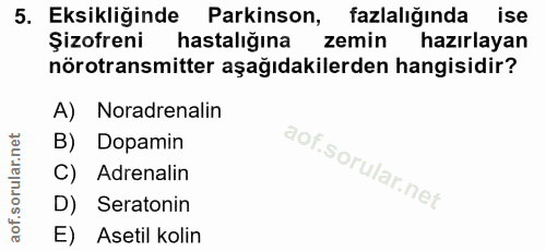 5. soru: Eksikliğinde Parkinson, fazlalığında ise Şizofreni hastalığına zemin hazırlayan nörotransmitter aşağıdakilerden hangi…