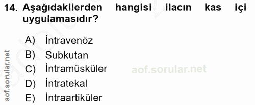 14. soru: Aşağıdakilerden hangisi ilacın kas içi uygulamasıdır? A) Intravenöz B) Subkutan C) İntramüsküler D) Intratekal E) Int…