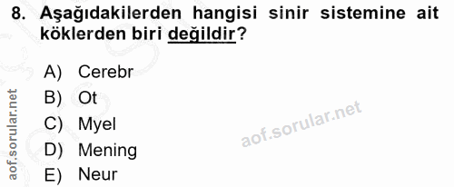 8. soru: Aşağıdakilerden hangisi sinir sistemine ait köklerden biri değildir? A) Cerebr B) Ot Myel D) Mening E) Neur