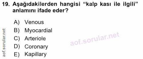 19. soru: Aşağıdakilerden hangisi "kalp kası ile ilgili" anlamını ifade eder? A) Venous B) Myocardial C) Arteriole D) Coronary…