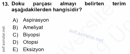 13. soru: Doku parçası almayı belirten terim aşağıdakilerden hangisidir? A) Aspirasyon B) Ameliyat C) Biyopsi D) Otopsi E) Eksi…