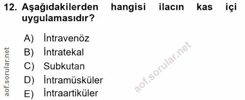 12. soru: Aşağıdakilerden hangisi ilacın kas içi uygulamasıdır? A) Intravenöz B) Intratekal C) Subkutan D) Intramüsküler E) Int…