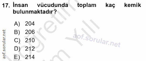 17. soru: Insan vücudunda toplam kaç kemik bulunmaktadır? A) 204 B) 206 C) 210 D) 212 E) 214