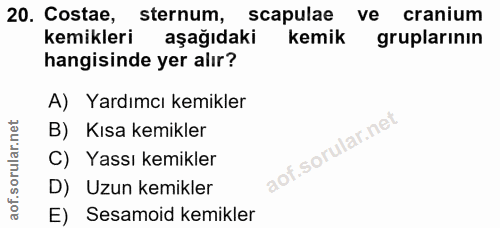 20. soru: Costae, sternum, scapulae ve cranium kemikleri aşağıdaki kemik gruplarinin hangisinde yer alır? A) Yardımcı kemikler…