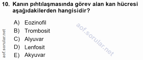10. soru: Kanın pıhtılaşmasında görev alan kan hücresi aşağıdakilerden hangisidir? A) Eozinofil rular.net B) Trombosit Alyuvar…