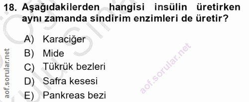 18. soru: Aşağıdakilerden hangisi insülin üretirken aynı zamanda sindirim enzimleri de üretir? A) Karaciğer B) Mide C) Tükrük b…