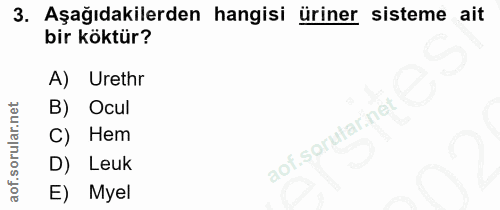 3. soru: Aşağıdakilerden hangisi üriner sisteme ait bir köktür? A) Urethr B) Ocul Hem aof.sorutarinet D) Leuk Myel