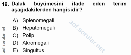 19. soru: Dalak büyümesini ifade eden terim aşağıdakilerden hangisidir? A) Splenomegali B) Hepatomegali C) Polip D) Akromegali…