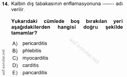14. soru: Kalbin dış tabakasının enflamasyonuna --- adı verilir. Yukarıdaki cümlede boş bırakılan yeri aşağıdakilerden hangisi…