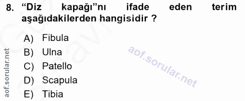 8. soru: "Diz kapağı"nı ifade eden terim aşağıdakilerden hangisidir ? A) Fibula B) Ulna Patello D) Scapula E) Tibia