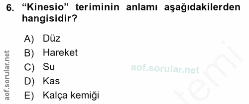 6. soru: "Kinesio" teriminin anlamı aşağıdakilerden hangisidir? A) Düz B) Hareket C) Su D) Kas E) Kalça kemiği