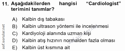 11. soru: Aşağıdakilerden hangisi "Cardiologist" terimini tanımlar? A) Kalbin dış tabakası B) Kalbin ultrason yöntemi ile incel…