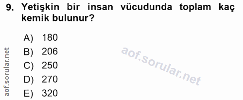 9. soru: Yetişkin bir insan vücudunda toplam kaç kemik bulunur? A) 180 B) 206 C) 250 D) 270 E) 320